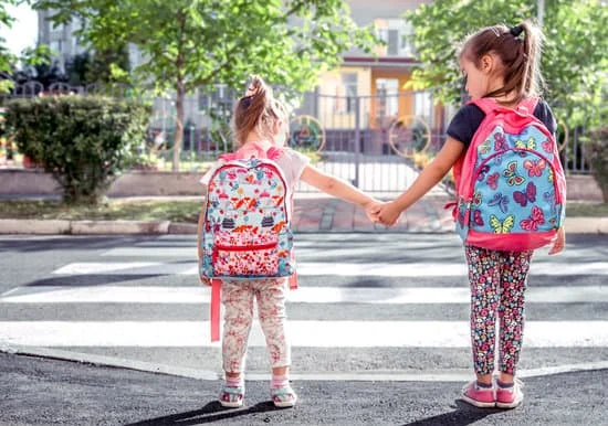 Es preciso que todos los chicos vayan al colegio : Il faut que tous les enfants aillent à l'école