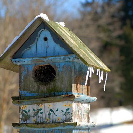 Pendant l’hiver, les nichoirs ne servent plus à la nidification. 