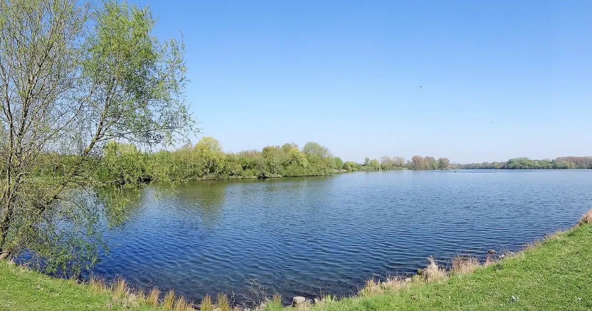 lac heron observation oiseaux 2